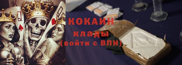 гашик Алексин