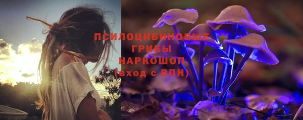 твердый Алексеевка