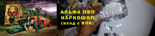гашик Алексин
