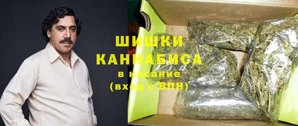 гашик Алексин