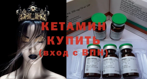 гашик Алексин