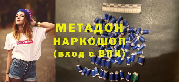 гашик Алексин