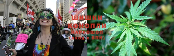 сатива Магас