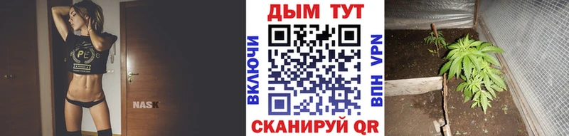 Каннабис Bruce Banner мега маркетплейс Новоульяновск купить наркоту